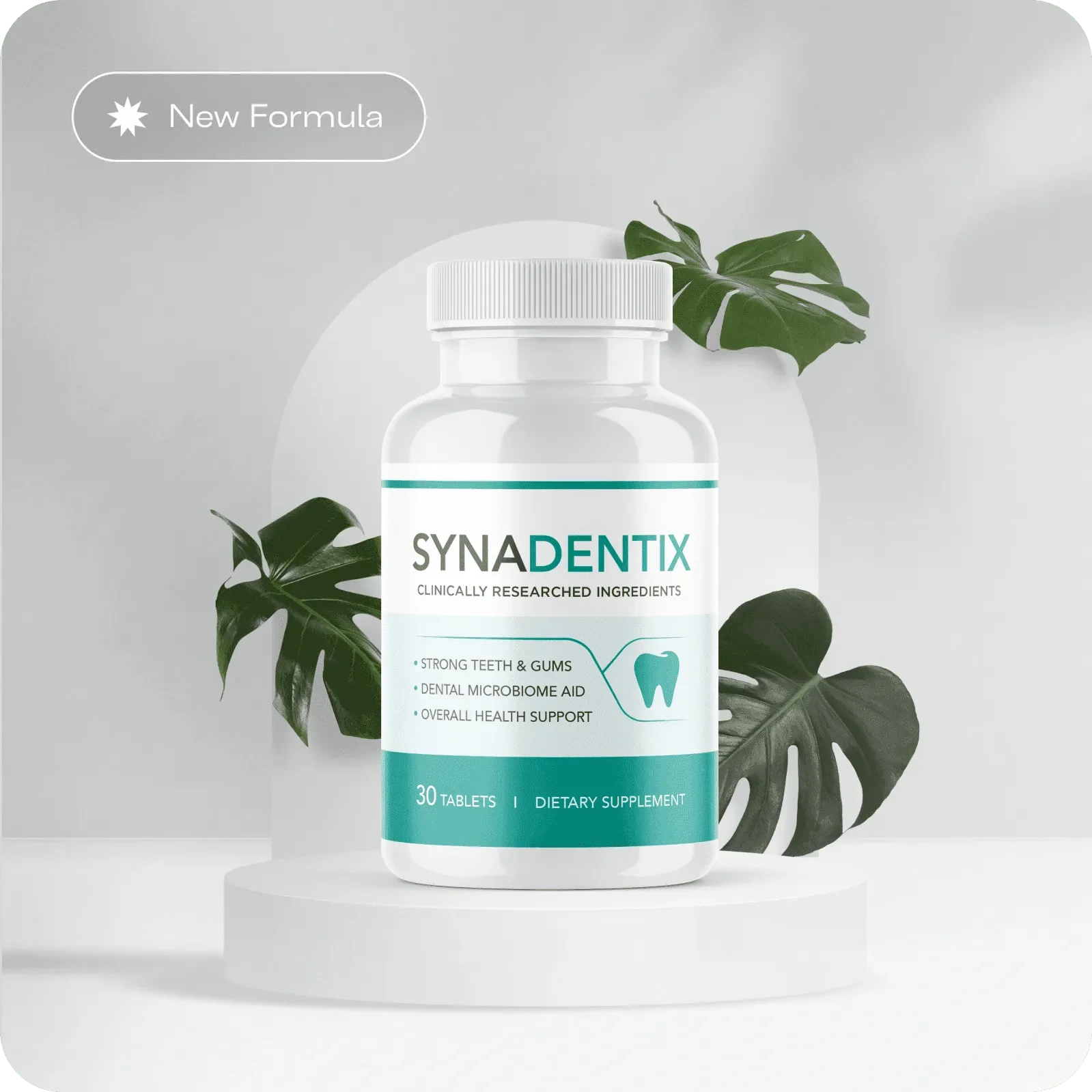 Synadentix