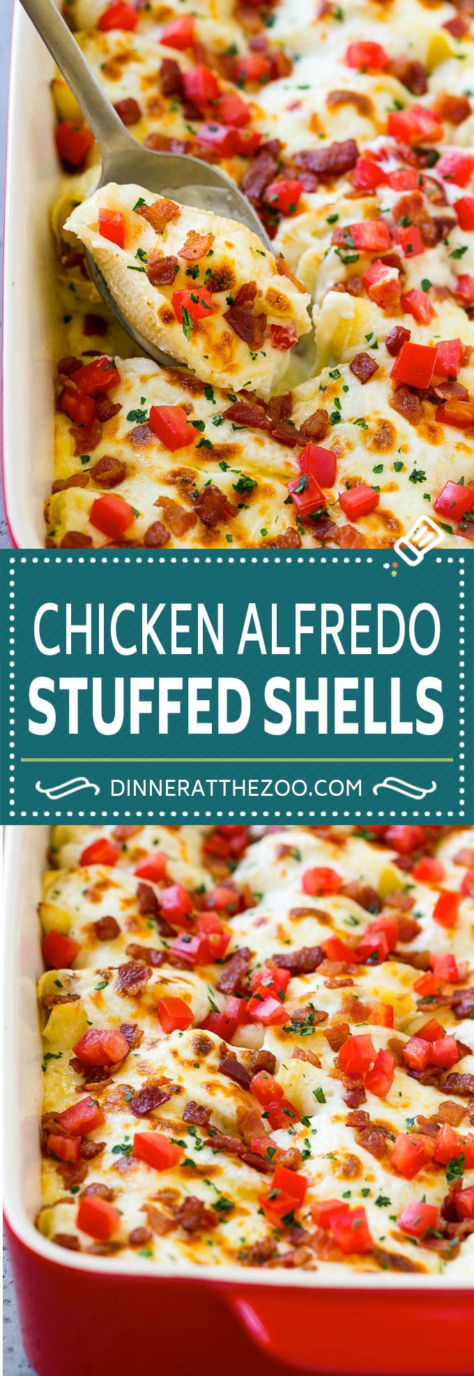 Chicken Alfredo Stuffed Shells Recipe | Stuffed Shells | Chicken Stuffed Shells | Baked Pasta #stuffedshells #alfredo #chicken #pasta #cheese #dinner #fuyos