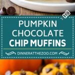 Pumpkin Chocolate Chip Muffins Recipe | Pumpkin Muffins | Chocolate Pumpkin Muffins #muffins #pumpkin #fall #chocolate #dessert #snack #fuyos