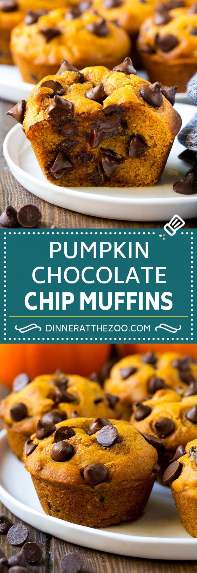 Pumpkin Chocolate Chip Muffins Recipe | Pumpkin Muffins | Chocolate Pumpkin Muffins #muffins #pumpkin #fall #chocolate #dessert #snack #fuyos