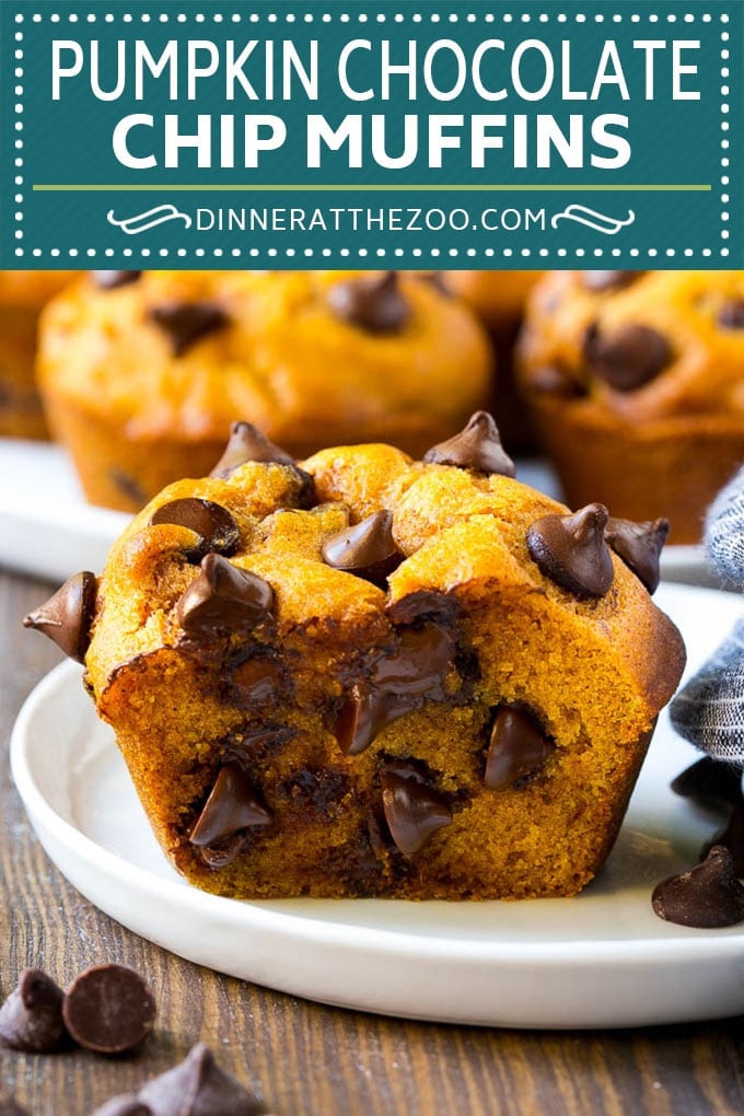 Pumpkin Chocolate Chip Muffins Recipe | Pumpkin Muffins | Chocolate Pumpkin Muffins #muffins #pumpkin #fall #chocolate #dessert #snack #fuyos