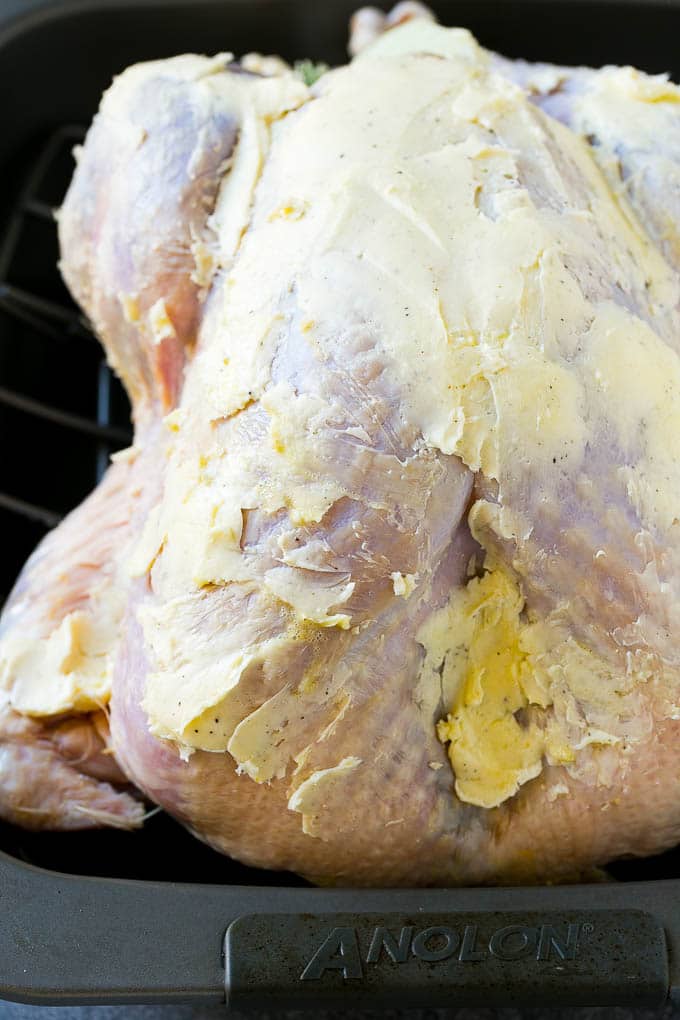 Roast Turkey Recipe | Thanksgiving Turkey | Holiday Turkey | Baked Turkey #turkey #thanksgiving #christmas #dinner #glutenfree #fuyos A whole raw turkey coated in seasoned butter.