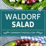 Waldorf Salad Recipe | Apple Salad | Fruit Salad #salad #fruit #apples #grapes #lunch #fuyos #glutenfree