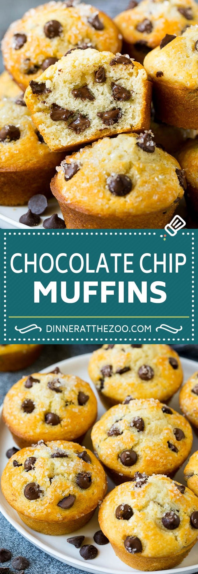 Chocolate Chip Muffins | Easy Muffin Recipe #chocolate #muffins #baking #breakfast #snack #fuyos