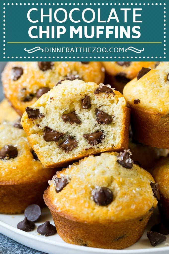 Chocolate Chip Muffins | Easy Muffin Recipe #chocolate #muffins #baking #breakfast #snack #fuyos