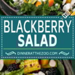 Blackberry Salad Recipe | Summer Salad #salad #blackberries #apricot #corn #dinner #healthy #fuyos