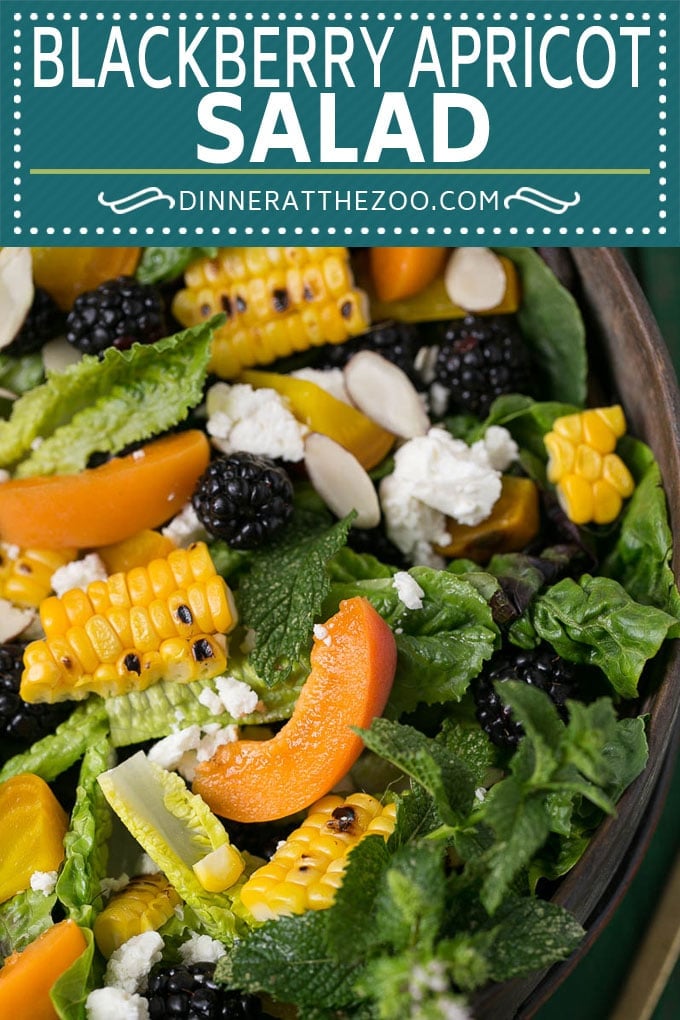 Blackberry Salad Recipe | Summer Salad #salad #blackberries #apricot #corn #dinner #healthy #fuyos