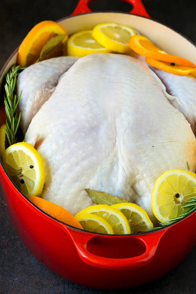 Thanksgiving Turkey Recipe | Roasted Turkey #turkey #thanksgiving #fall #dinner #fuyos A turkey in a pot of brine.