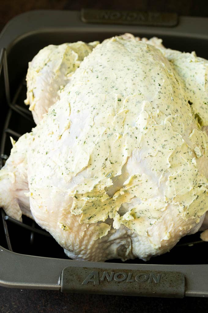 Thanksgiving Turkey Recipe | Roasted Turkey #turkey #thanksgiving #fall #dinner #fuyos A turkey coated in herb butter.