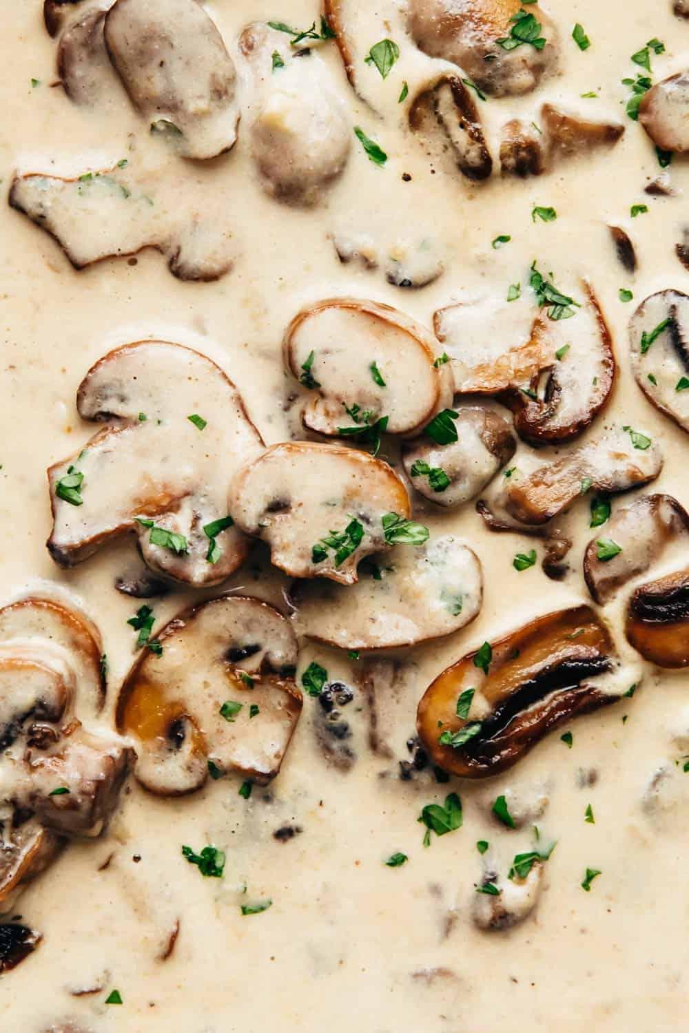 Salsa Cremosa ai Funghi e Parmigiano 3 Primo piano della salsa cremosa ai funghi e parmigiano