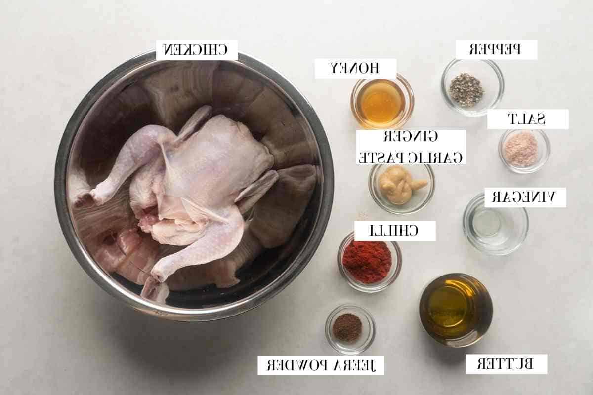 Pollo Arrosto Intero al Masala all'Indiana 3 Immagine di tutti gli ingredienti per il pollo arrosto indiano con testo identificativo