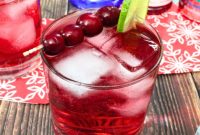 5 Minute Cranberry Vodka Fizz The Ideal Party Starter