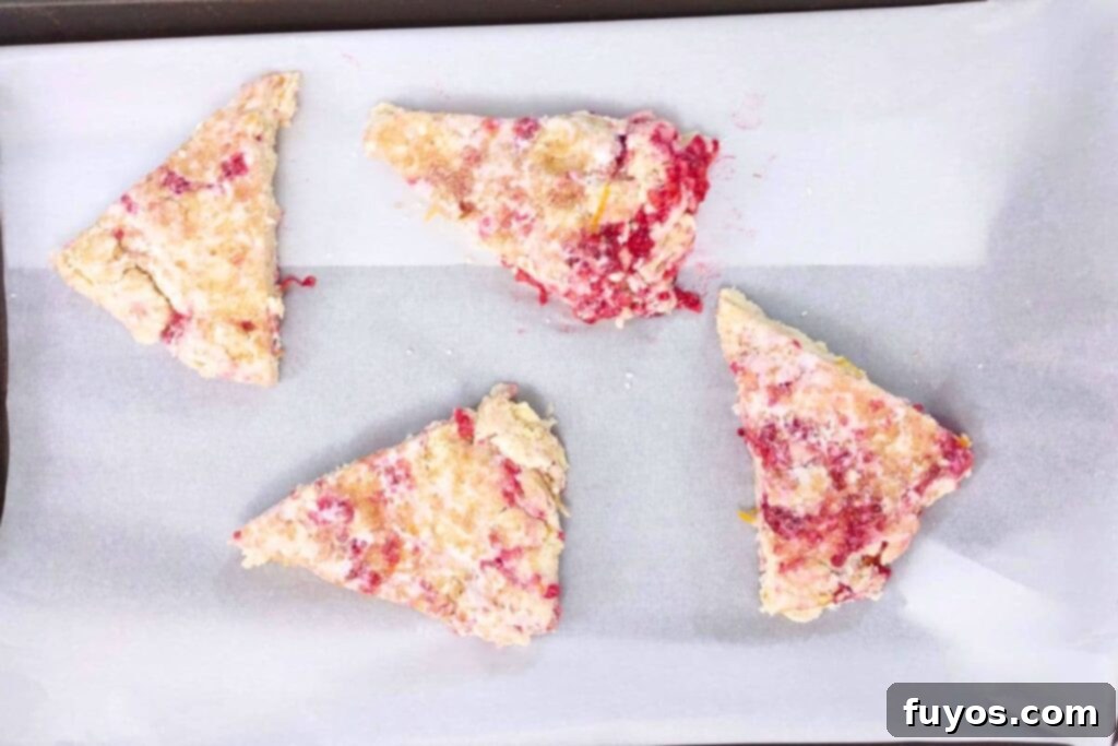 Raspberry orange scones placed on parchment paper on a baking sheet, ready for the oven