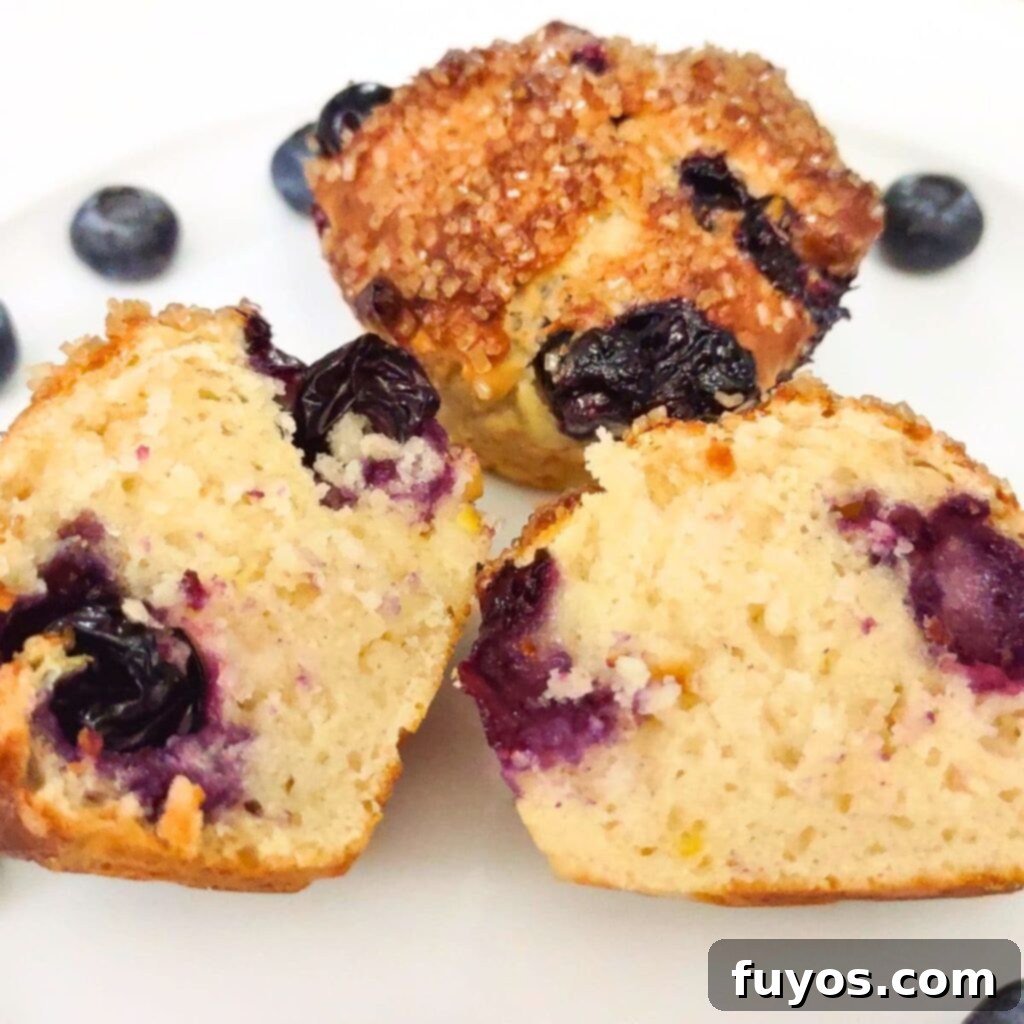 Air Fryer Blueberry Muffins Bite Into Bliss 2 air fryer blueberry muffins recipe dinners done quick featured image