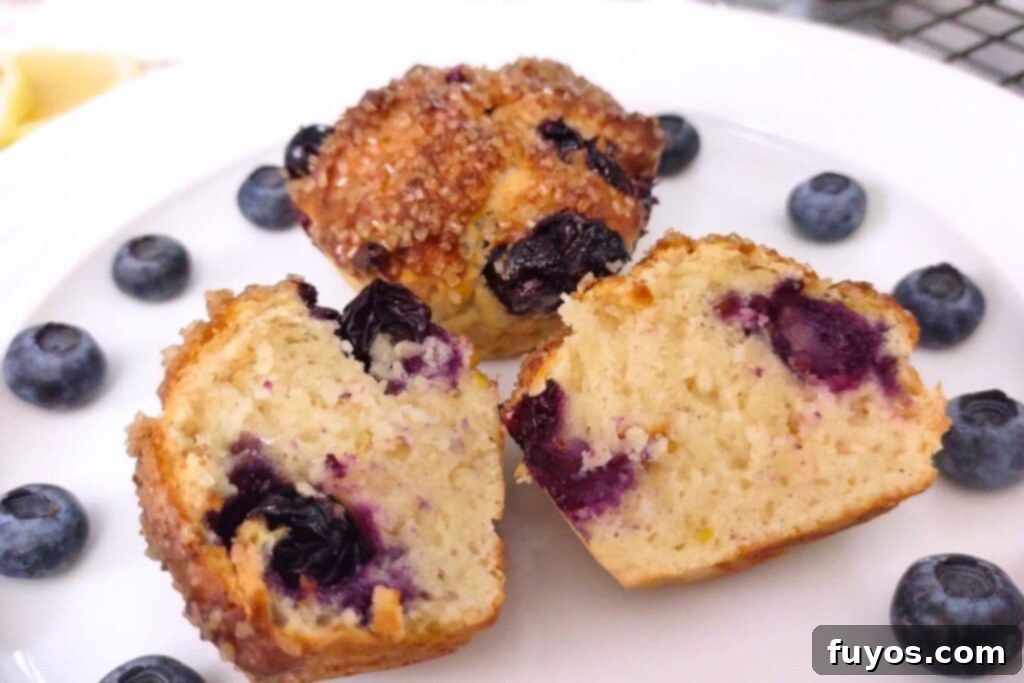 Air Fryer Blueberry Muffins Bite Into Bliss 11 closeup of a fresh and warm blueberry muffin cut in half