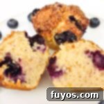 Air Fryer Blueberry Muffins Bite Into Bliss 13 air fryer blueberry muffins recipe dinners done quick featured image