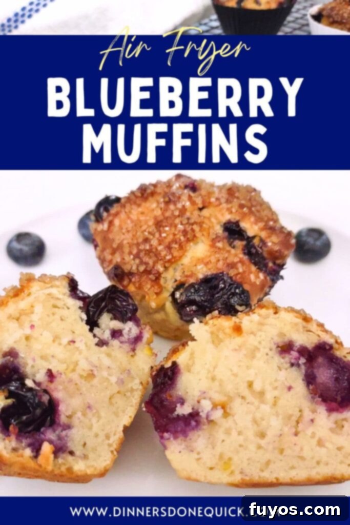 Air Fryer Blueberry Muffins Bite Into Bliss 14 air fryer blueberry muffins recipe dinners done quick pinterest