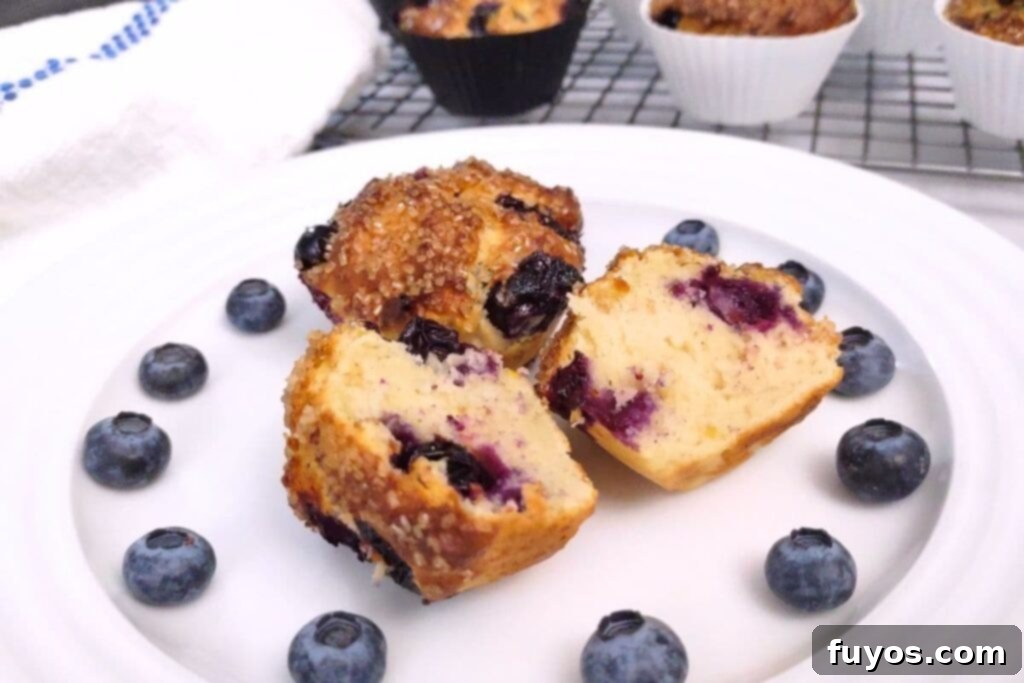 Air Fryer Blueberry Muffins Bite Into Bliss 3 air fryer blueberry muffin split in half on a plate surrounded by fresh blueberries