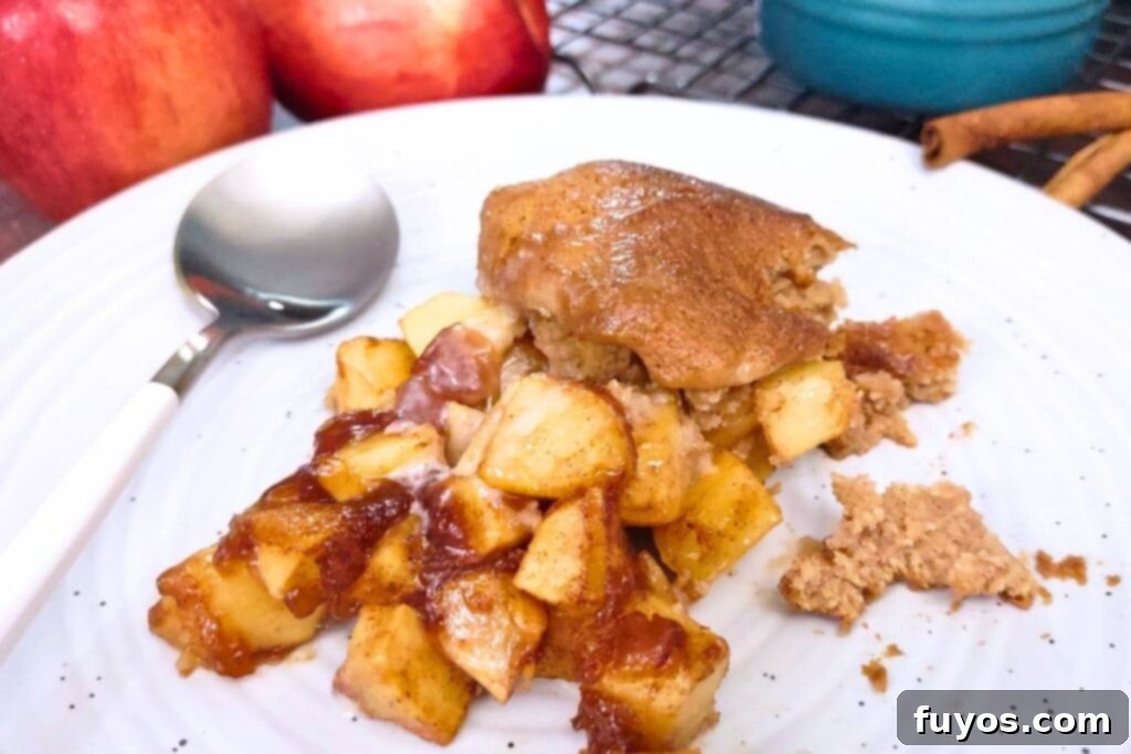 Easy Air Fryer Apple Cobbler Recipe Sweet Autumn Delight 11 delicious warm air fryer apple cobbler on a plate with a spoon