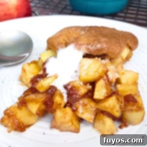 Easy Air Fryer Apple Cobbler Recipe Sweet Autumn Delight 12 air fryer apple cobbler recipe dinners done quick featured image