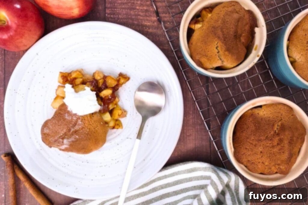 Easy Air Fryer Apple Cobbler Recipe Sweet Autumn Delight 10 overhead view of air fryer apple cobbler on a plate with whipped cream