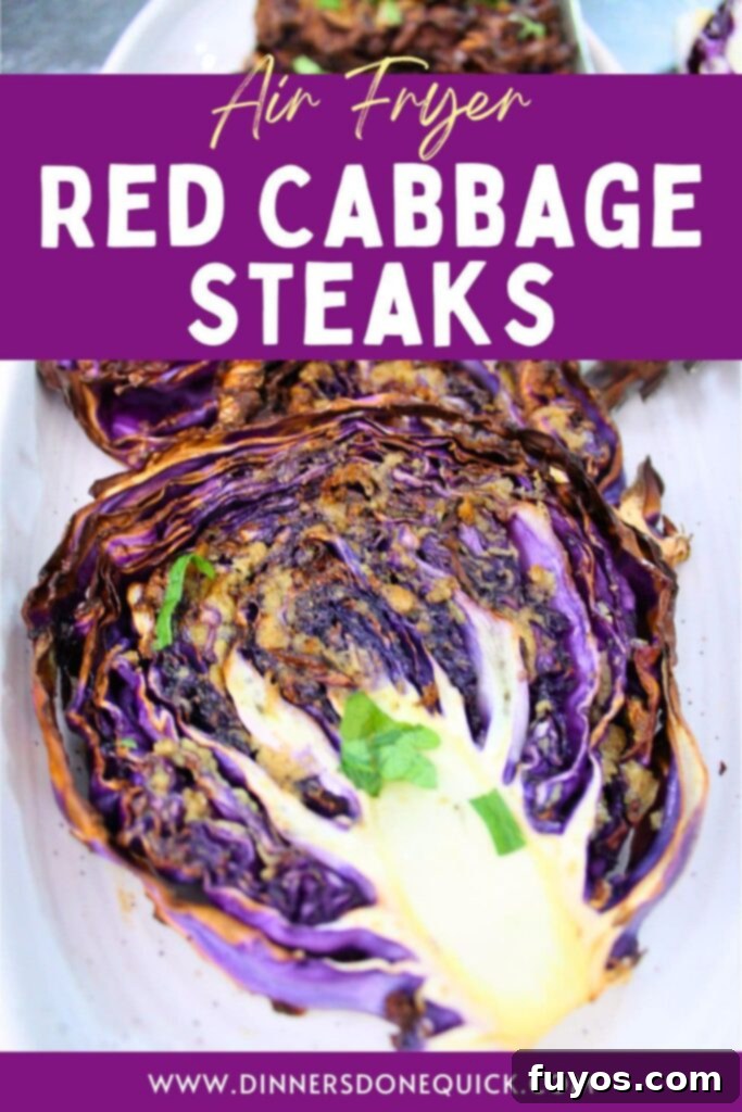 Vibrant Air Fryer Red Cabbage with a Perfect Crunch 12 air fryer red cabbage recipe dinners done quick pinterest