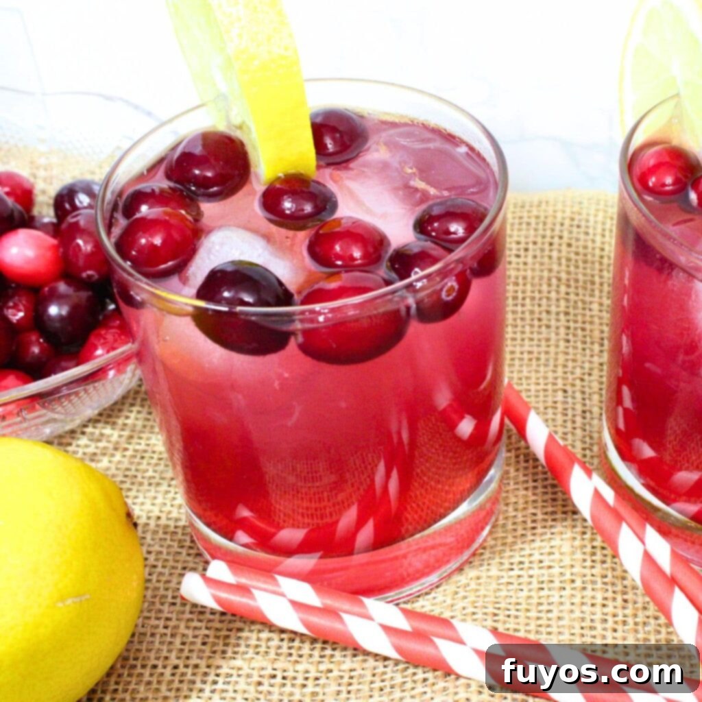 Quick 3 Ingredient Cranberry Lemon Vodka Refresher 2 vodka cranberry lemonade cocktail recipe dinners done quick featured image