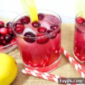 Quick 3 Ingredient Cranberry Lemon Vodka Refresher 9 vodka cranberry lemonade cocktail recipe dinners done quick featured image