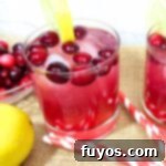 Quick 3 Ingredient Cranberry Lemon Vodka Refresher 10 vodka cranberry lemonade cocktail recipe dinners done quick featured image