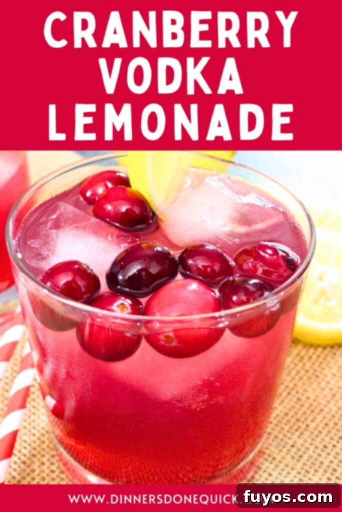 Quick 3 Ingredient Cranberry Lemon Vodka Refresher 11 vodka cranberry lemonade cocktail recipe dinners done quick pinterest