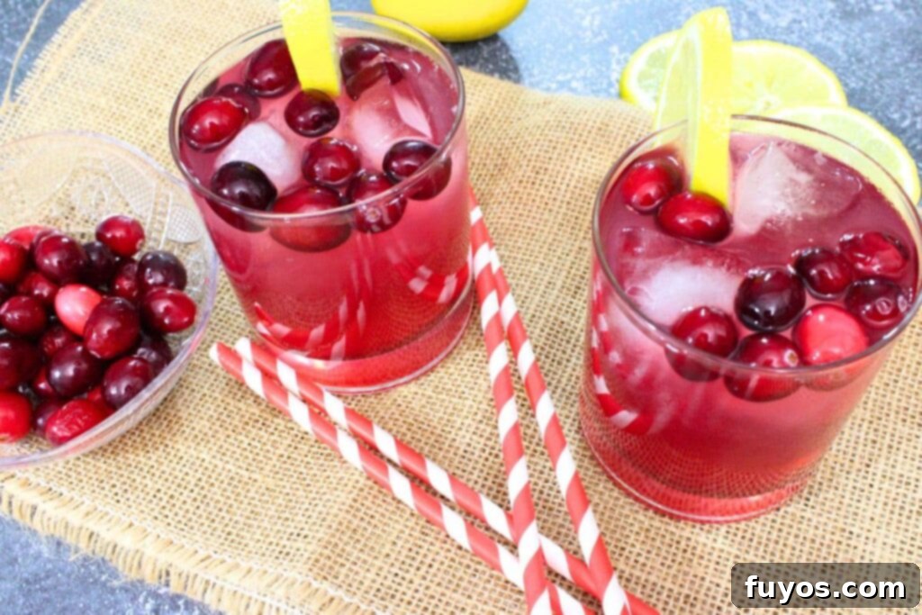 Quick 3 Ingredient Cranberry Lemon Vodka Refresher 3 two glasses of vodka cranberry lemonade with fresh lemon and cranberries