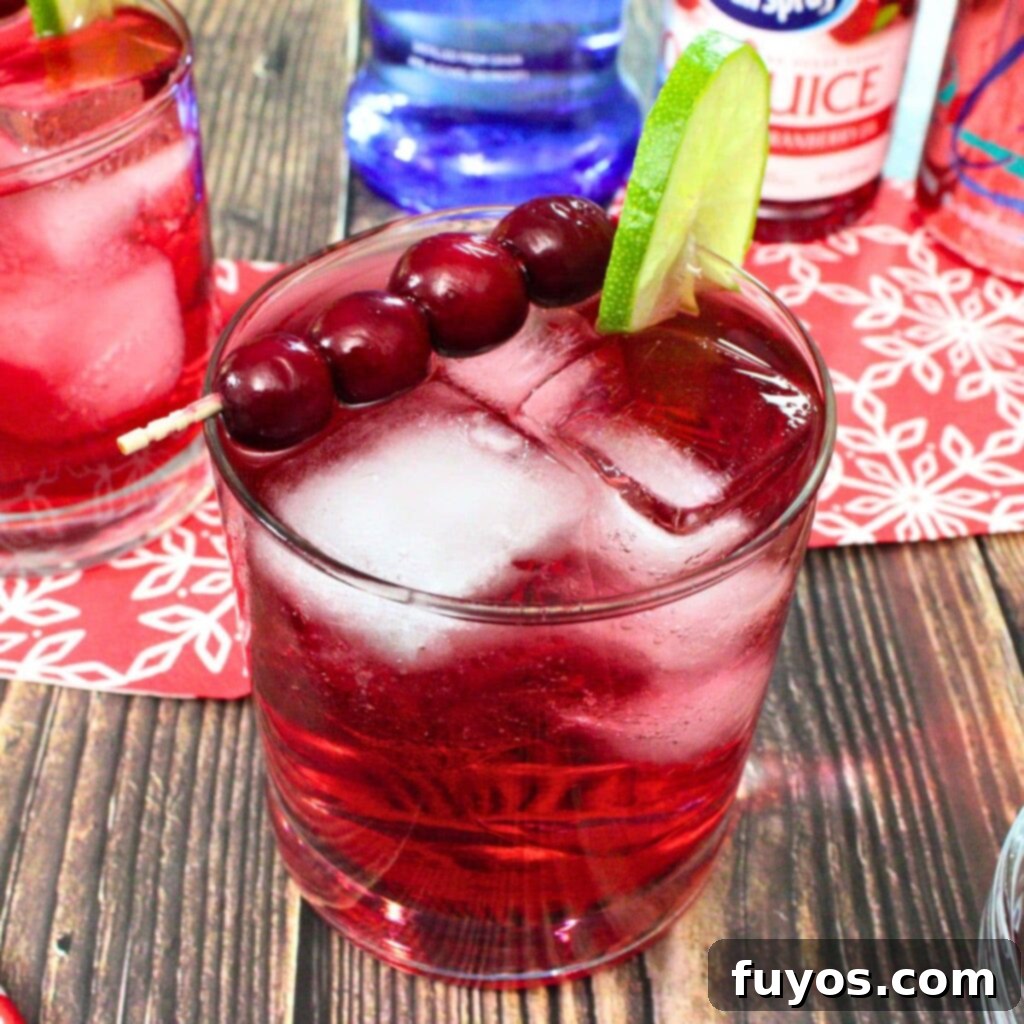 5 Minute Cranberry Vodka Fizz The Ideal Party Starter 2 cranberry vodka fizz cocktail recipe dinners done quick featured image