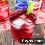 5 Minute Cranberry Vodka Fizz The Ideal Party Starter 11 cranberry vodka fizz cocktail recipe dinners done quick featured image