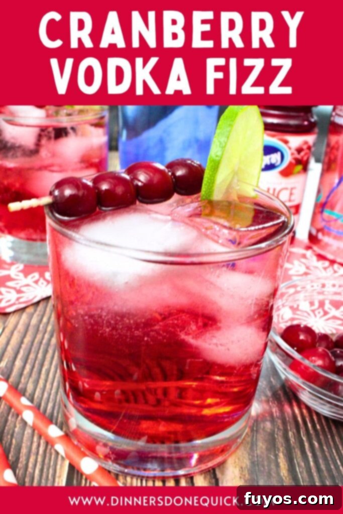 5 Minute Cranberry Vodka Fizz The Ideal Party Starter 12 cranberry vodka fizz cocktail recipe dinners done quick pinterest