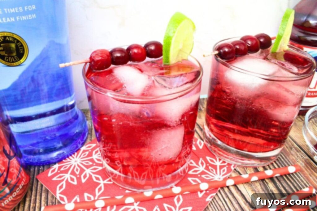 5 Minute Cranberry Vodka Fizz The Ideal Party Starter 3 vodka cranberry fizz cocktails surrounded by their ingredient bottles