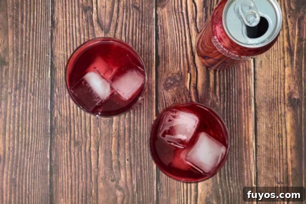 5 Minute Cranberry Vodka Fizz The Ideal Party Starter 7 top the cranberry vodka with sparkling water