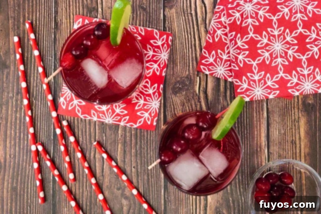 5 Minute Cranberry Vodka Fizz The Ideal Party Starter 8 overhead view of two glasses filled with cranberry vodka fizz garnished with lime