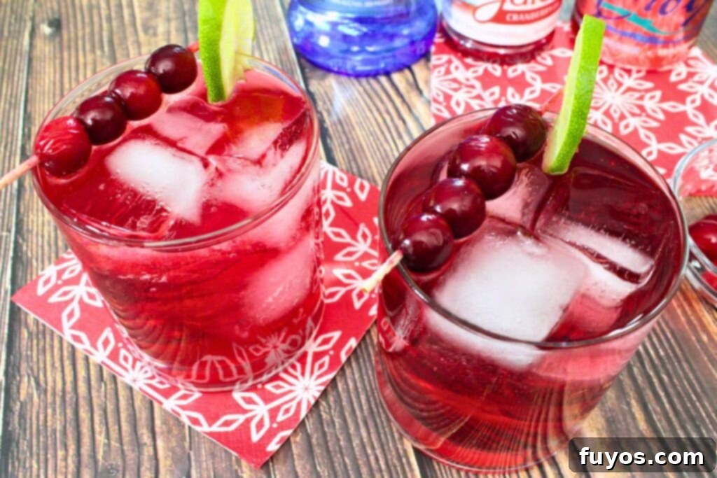 5 Minute Cranberry Vodka Fizz The Ideal Party Starter 9 two glasses of bubbly vodka cranberry fizz drinks with lime