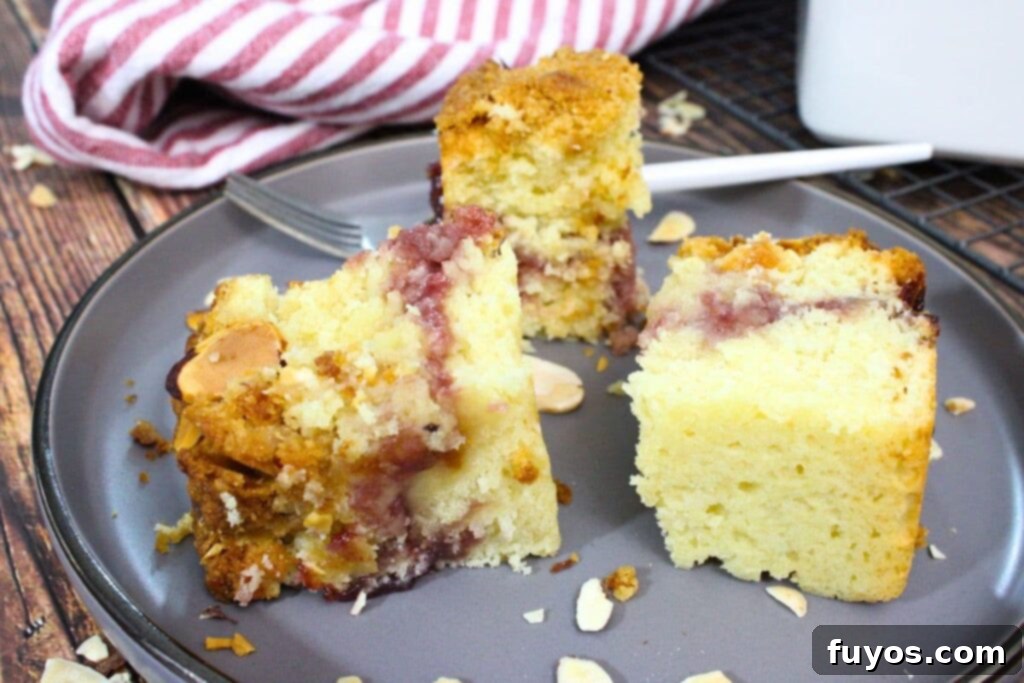 Delicious Homemade Air Fryer Coffee Cake for Breakfast 13 Two pieces of freshly baked air fryer coffee cake with raspberry almond filling on a white plate.