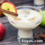 Easy Autumn Caramel Apple Cider Margaritas in 5 Minutes 11 caramel apple cider margaritas cocktail recipe dinners done quick featured image