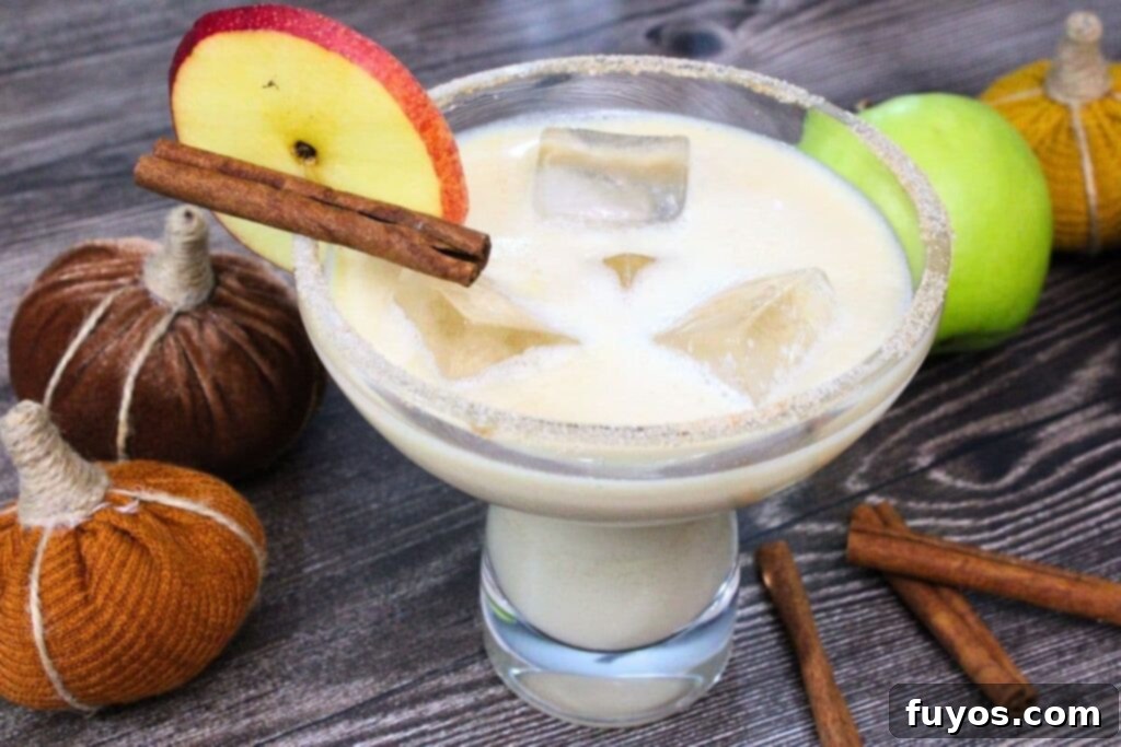 Easy Autumn Caramel Apple Cider Margaritas in 5 Minutes 9 delicious caramel apple cider margarita in a glass with a slice of apple and a cinnamon stick on the rim
