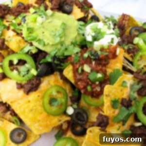 The Ultimate Air Fryer Nachos for Game Day 14 air fryer nachos with ground beef recipe dinners done quick featured image