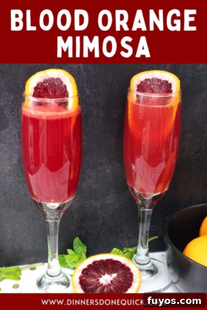 Your Simple 3 Ingredient Blood Orange Mimosa for Winter Brunch 11 blood orange mimosa cocktail recipe dinners done quick pinterest