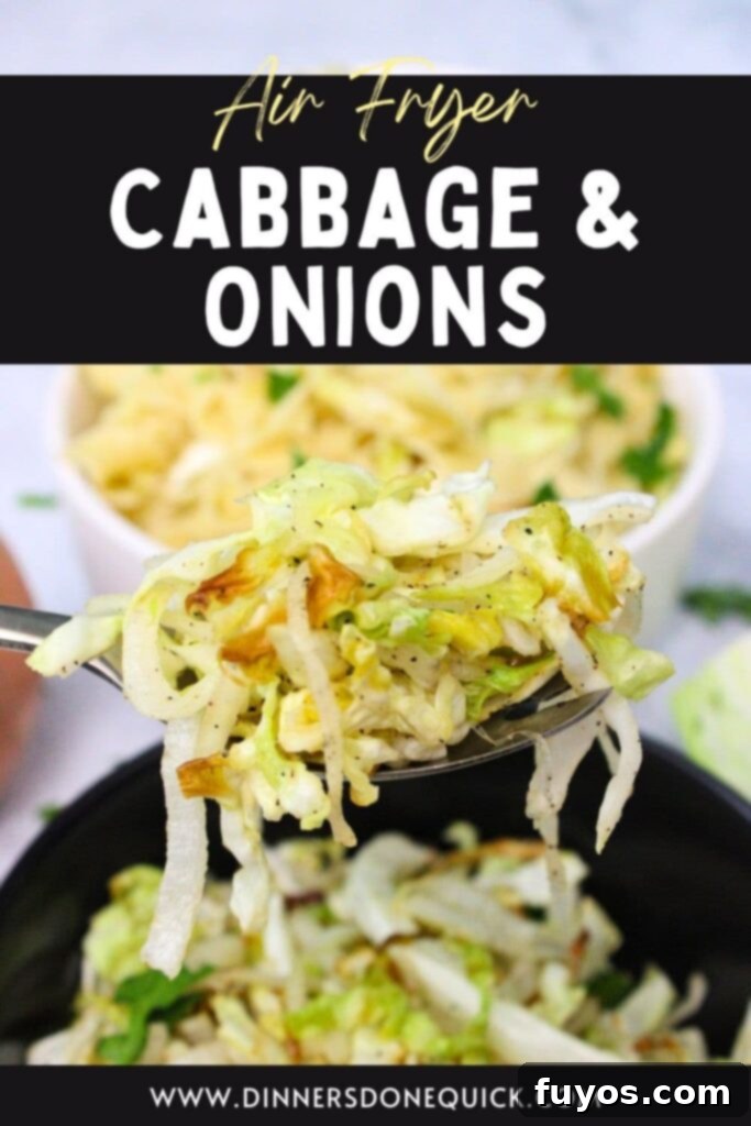Easy 15-Minute Air Fryer Cabbage and Onions 12 air fryer cabbage and onions recipe dinners done quick pinterest