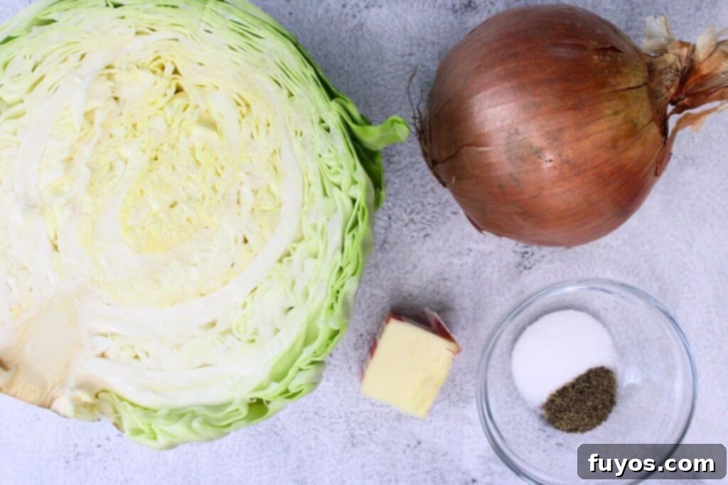 Easy 15-Minute Air Fryer Cabbage and Onions 4 ingredients to make air fryer cabbage and onions
