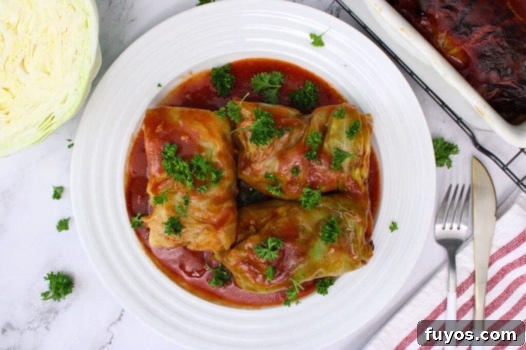 Savory Air Fryer Cabbage Rolls with Sausage and Rice 12 overhead view of air fryer cabbage rolls on a plate