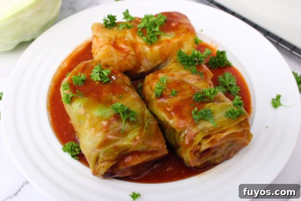Savory Air Fryer Cabbage Rolls with Sausage and Rice 13 three air fryer stuffed cabbage rolls on a plate
