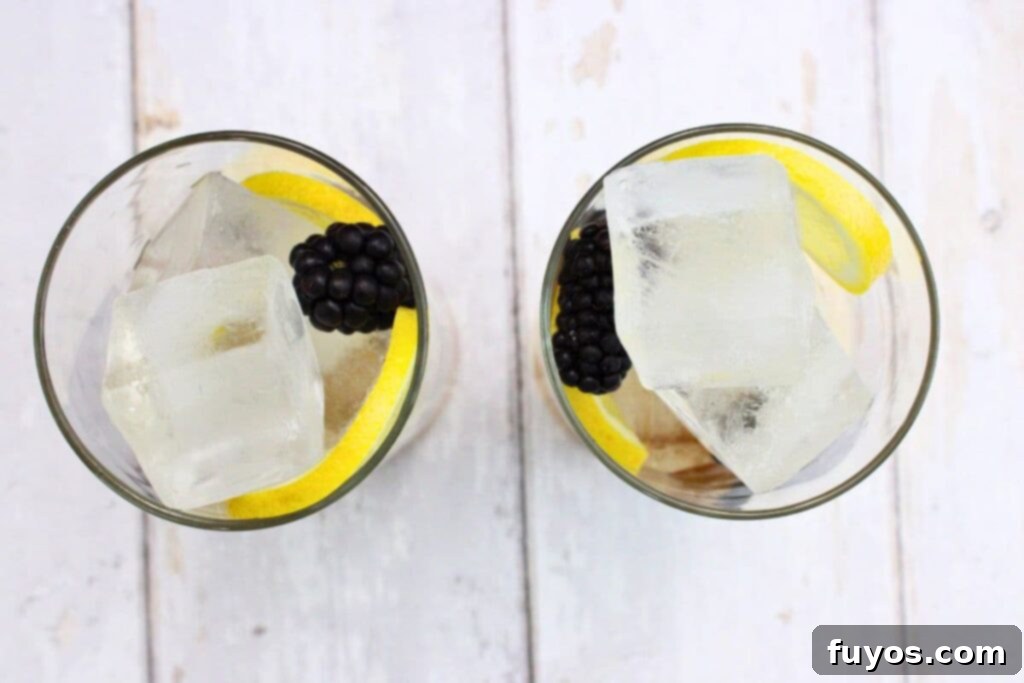 Crown Jewel Blackberry Lemonade: Two-Ingredient Elixir 6 fill the glass with ice and fresh fruit as desired