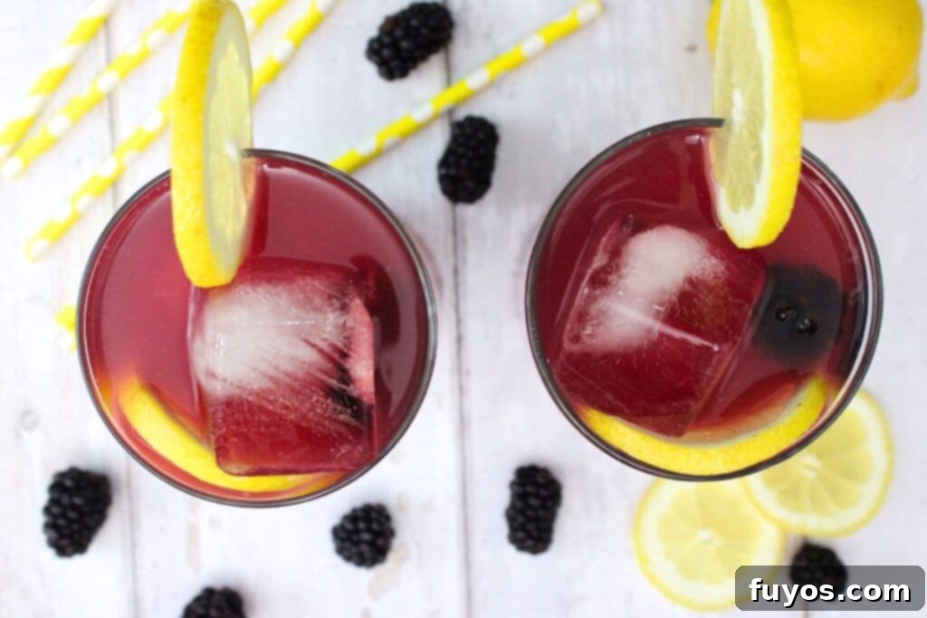 Crown Jewel Blackberry Lemonade: Two-Ingredient Elixir 8 overhead view of two glasses filled with crown blackberry lemonade surrounded by fresh fruit