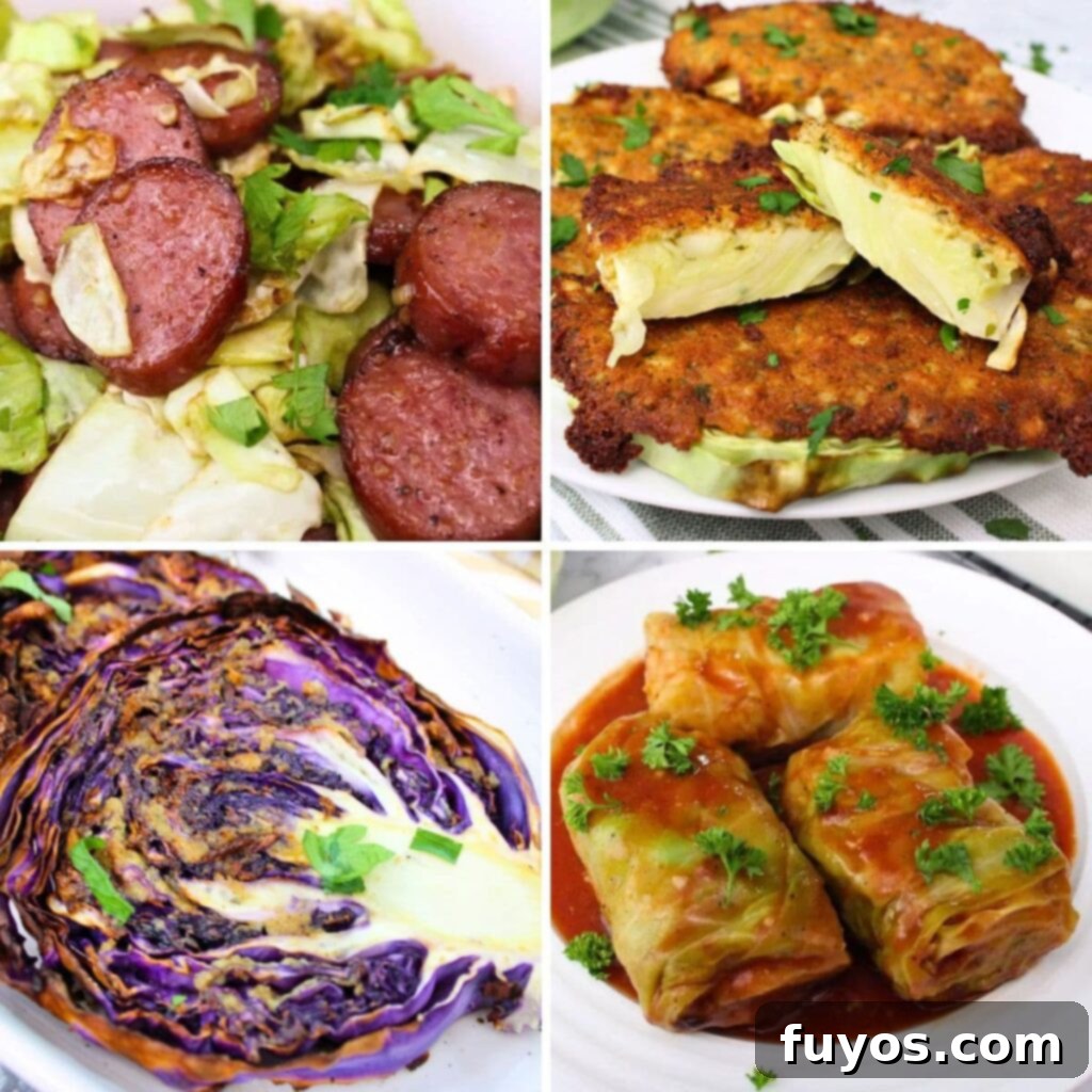 Selection of delicious air fryer cabbage recipes for quick and healthy dinners